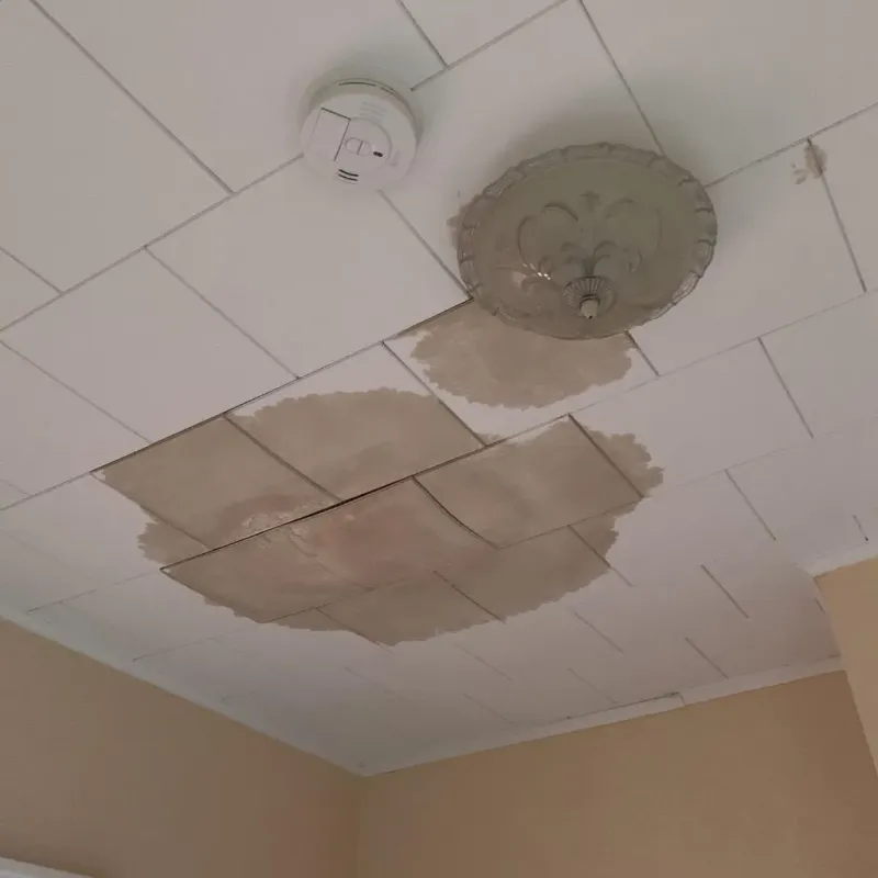Ceiling Water Damage Repair in Seelyville, IN