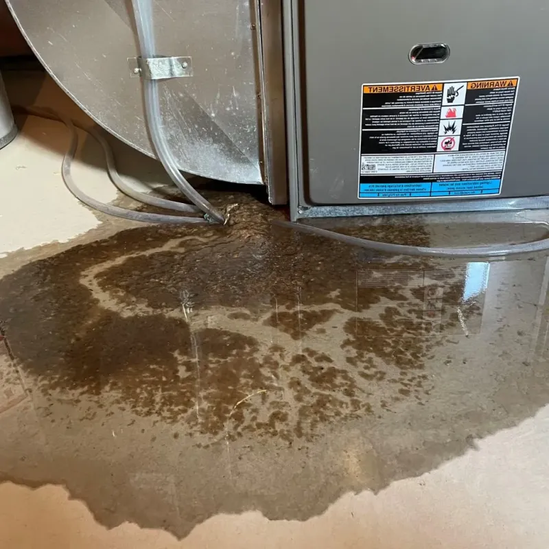 Pipe Burst and Leak Restoration in Seelyville, IN