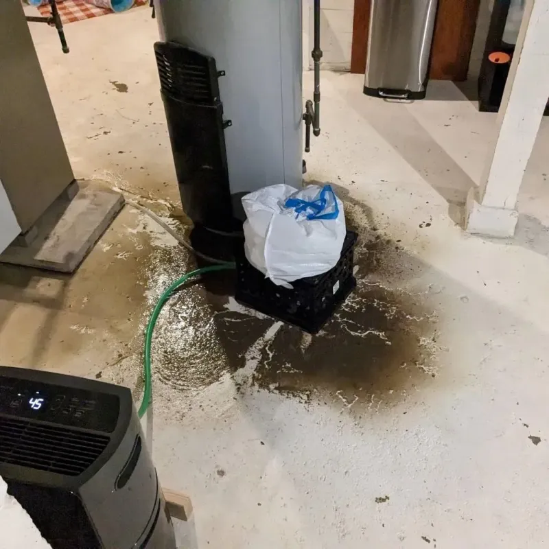 Sewage Backup Cleanup Service in Seelyville, IN